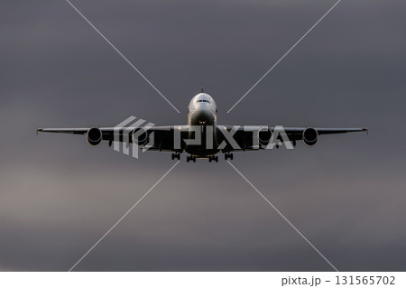 飛行機を正面から撮った写真 131565702