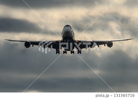 飛行機を正面から撮った写真 131565710