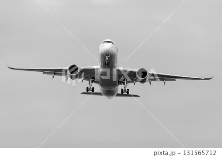 飛行機を正面から撮った写真 131565712