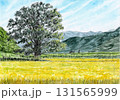 黄金色の秋 131565999