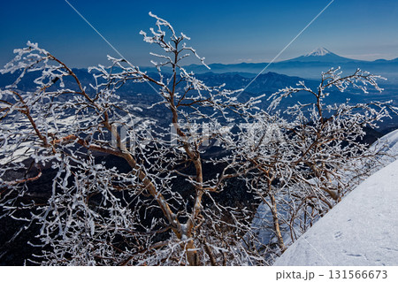 冬の八ヶ岳連峰・横岳稜線の樹氷と富士山 131566673