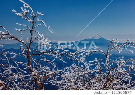 冬の八ヶ岳連峰・横岳稜線の樹氷と富士山 131566674