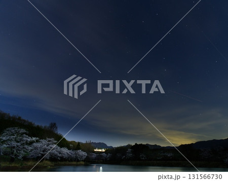 春の夜、桜と北斗七星 春の夜、桜と北斗七星 131566730