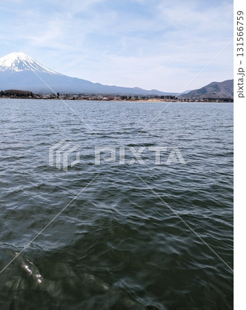 河口湖から見た富士山 河口湖から見た富士山 131566759