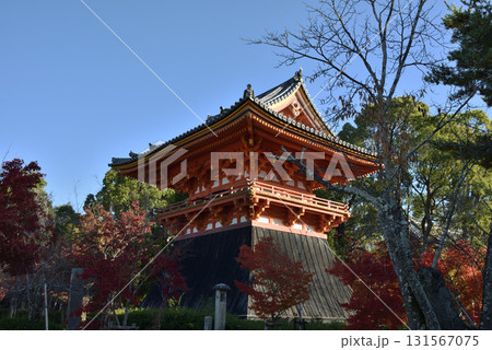 世界遺産仁和寺 秋の鐘楼【重要文化財】 世界遺産仁和寺 秋の鐘楼【重要文化財】 131567075