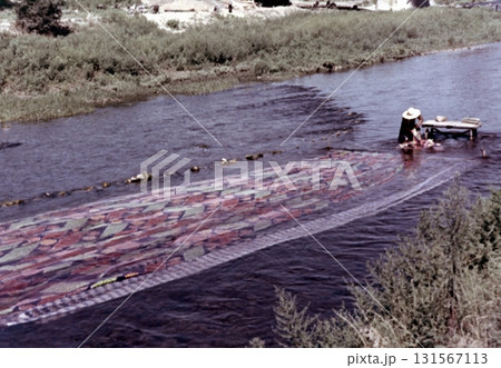 古写真　1956年　京都　鴨川の友禅流し 131567113