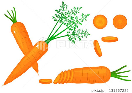 Bright vector set of colorful half, slice and whole of carrot. Fresh cartoon vegetable isolated on white background. Illustration used for magazine, book, poster, card, menu cover, web pages. 131567223