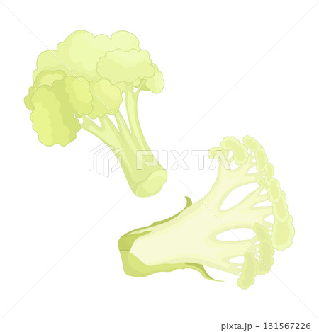 Fresh cauliflower cabbage isolated on white background. Set of different foreshortening. Collage of cauliflower cabbage. Cauliflower florets. 131567226