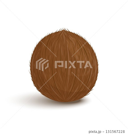 Coconut whole fruit. Vector flat illustration isolated on white background 131567228