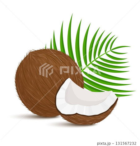 Whole coconut with piece and palm leaves on white background. Vector illustration. Flat design 131567232