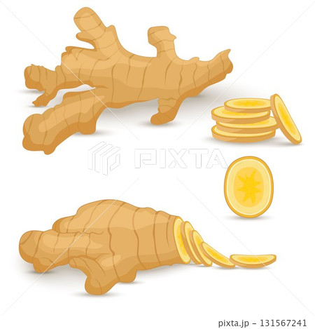 Set of fresh ginger root on white background. Vegan food vector icons in a trendy cartoon style. Healthy food concept for design. 131567241