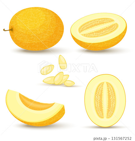 Melon vector set. Whole, sliced, half of a yellow musbuzz, isolated on white background. Vector illustration. Cantaloupe. 131567252
