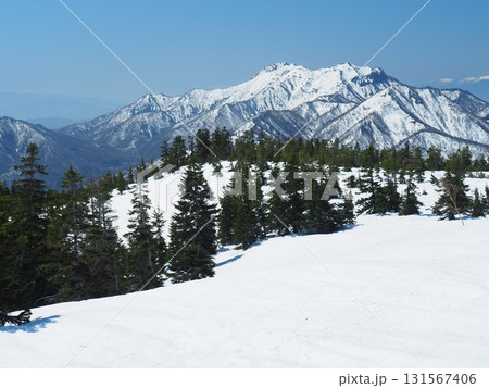 火打山から望む雪の高妻山 131567406
