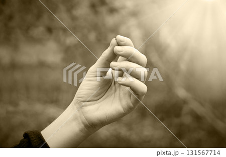 Hand holding a small mustard seed 131567714