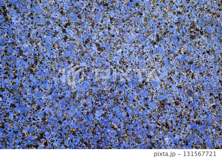 Red granite with black spots Red granite with black spots 131567721