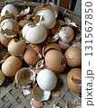 Empty White and Brown Broken Eggshells 131567850