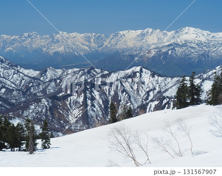 火打山から望む雪の北アルプス 131567907