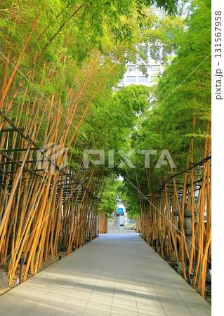 南青山梅窓院 南青山梅窓院 131567958