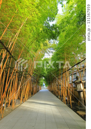 南青山梅窓院 南青山梅窓院 131567959