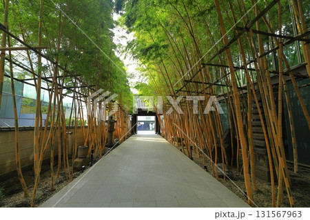 南青山梅窓院 南青山梅窓院 131567963