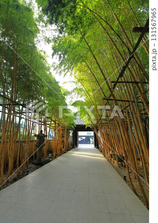 南青山梅窓院 南青山梅窓院 131567965