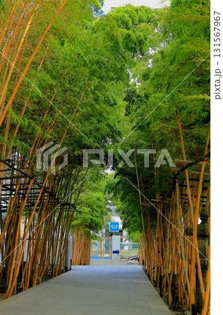 南青山梅窓院 南青山梅窓院 131567967