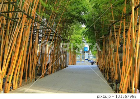 南青山梅窓院 南青山梅窓院 131567968