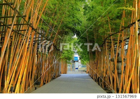 南青山梅窓院 131567969
