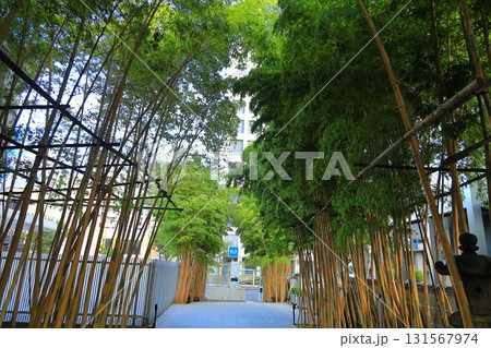 南青山梅窓院 南青山梅窓院 131567974