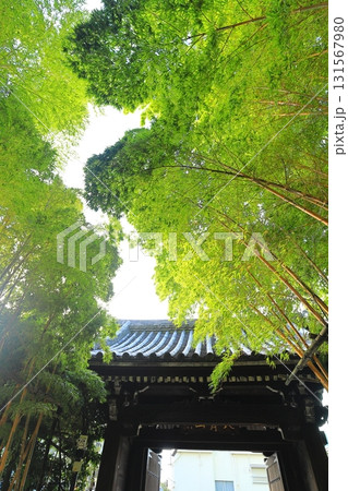 南青山梅窓院 131567980