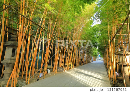 南青山梅窓院 南青山梅窓院 131567981