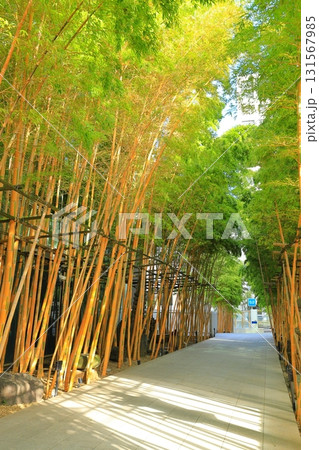 南青山梅窓院 131567985