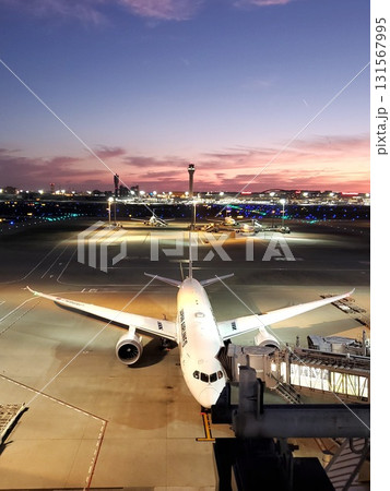 夜明け前の羽田空港第三ターミナル展望デッキからの眺め 131567995