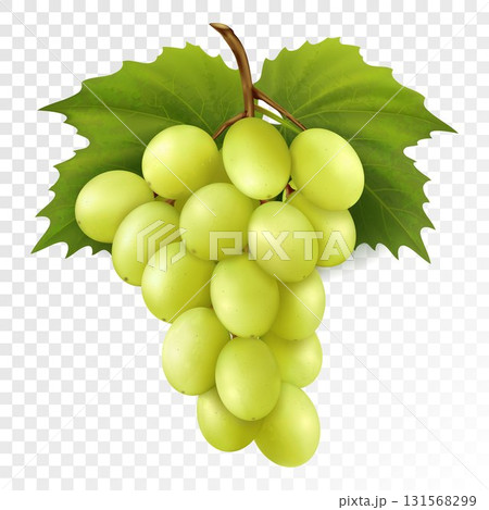 Bunch of yellow or green grapes with vine leaves isolated on transparent background. Cluster of grape. Fresh, natural food, dessert. Realistic 3d vector illustration for agriculture design. 131568299