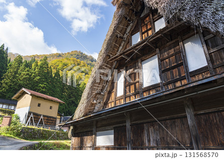 秋の五箇山　世界遺産相倉合掌造り集落 131568570