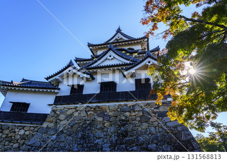国宝の彦根城天守 131568813