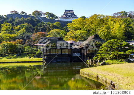 紅葉真っ盛りの玄宮園から望む彦根城 131568908