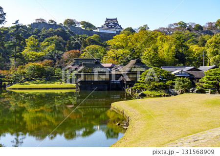紅葉真っ盛りの玄宮園から望む彦根城 131568909