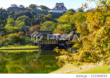 紅葉真っ盛りの玄宮園から望む彦根城 紅葉真っ盛りの玄宮園から望む彦根城 131568910