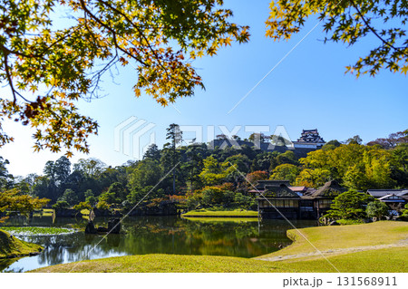 紅葉真っ盛りの玄宮園から望む彦根城 131568911