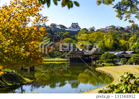 紅葉真っ盛りの玄宮園から望む彦根城 紅葉真っ盛りの玄宮園から望む彦根城 131568912