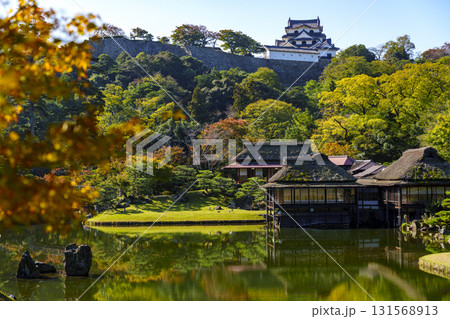 紅葉真っ盛りの玄宮園から望む彦根城 紅葉真っ盛りの玄宮園から望む彦根城 131568913