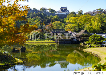 紅葉真っ盛りの玄宮園から望む彦根城 紅葉真っ盛りの玄宮園から望む彦根城 131568914