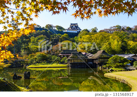 紅葉真っ盛りの玄宮園から望む彦根城 131568917
