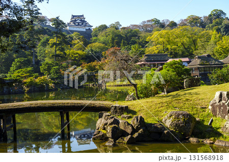 紅葉真っ盛りの玄宮園から望む彦根城 紅葉真っ盛りの玄宮園から望む彦根城 131568918