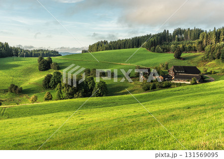 Traditional farmhouse in Jostal valley with meadows and conifer forest, Black Forest, Germany 131569095