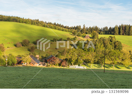 Traditional farmhouses in hilly landscape of Jostal valley, Black Forest, Titisee-Neustadt, Germany Traditional farmhouses in hilly landscape of Jostal valley, Black Forest, Titisee-Neustadt, Germany 131569096
