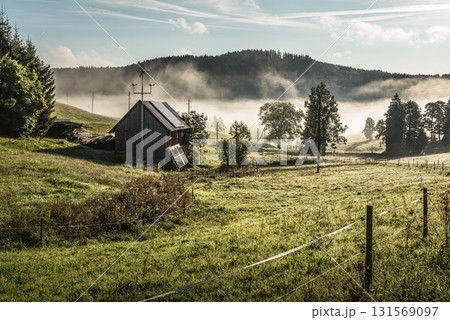 Misty morning with rustic hut and solar panels in Jostal, Black Forest, Titisee-Neustadt, Germany 131569097