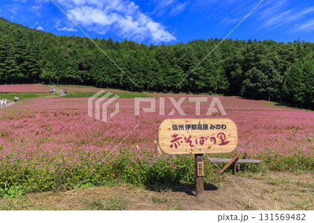 青空の下に広がる信州箕輪町赤そばの里と木製看板の美しい風景 131569482