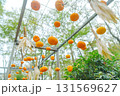 箱根のカボチャのハロウィン 131569627